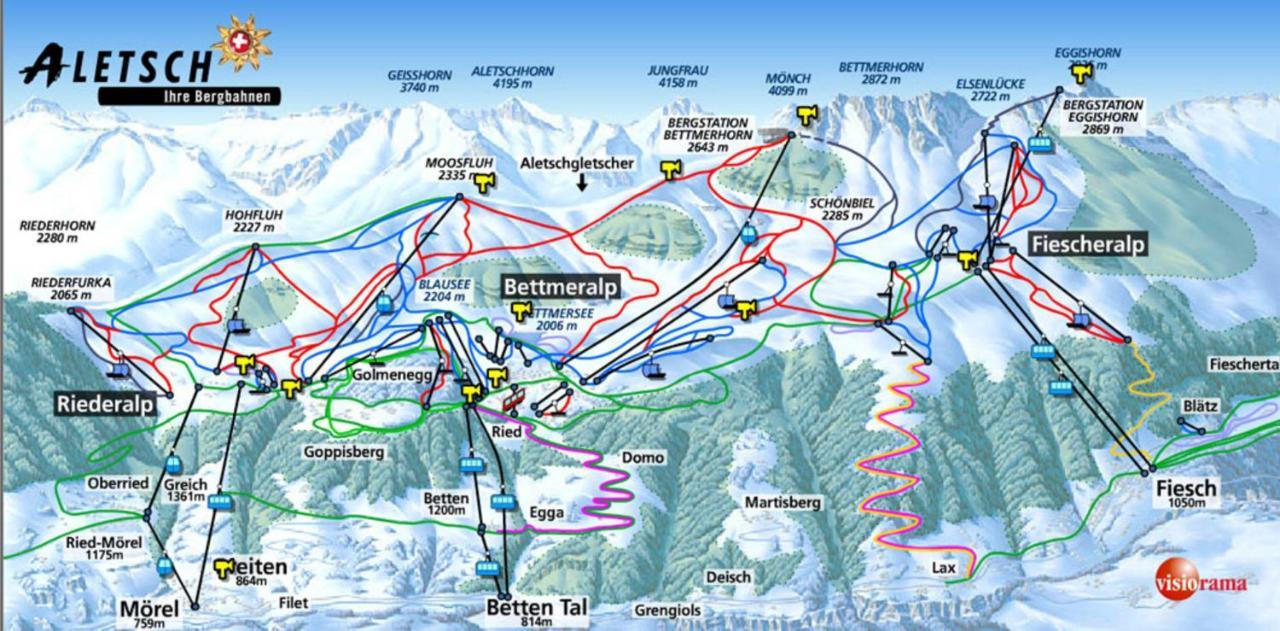 Weisshorn 24 Daire Riederalp Dış mekan fotoğraf